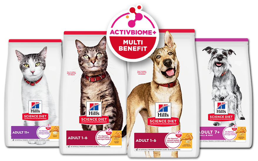 Derm Complete Puppy coming soon