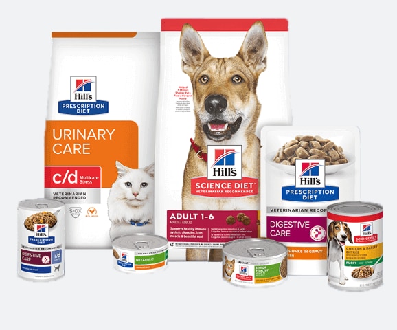 A grouping of Hill’s products including dry food and wet food. 